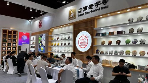 廣州秋季茶博會首日盛況 云南云墾茶業(yè)展位人氣爆棚，展覽服務亮點紛呈